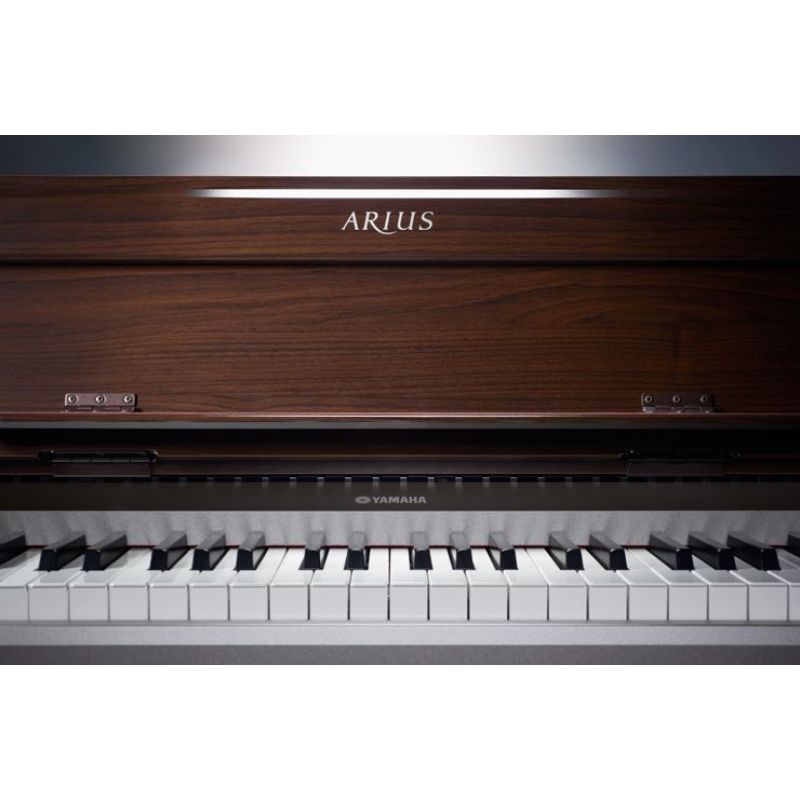 ◁ Цифровое пианино YAMAHA ARIUS YDP-S31 • лучшая цена • купить в